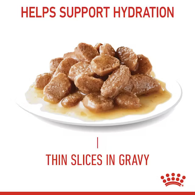 Royal Canin Hairball Care in Gravy – 85g x 12 Pouches